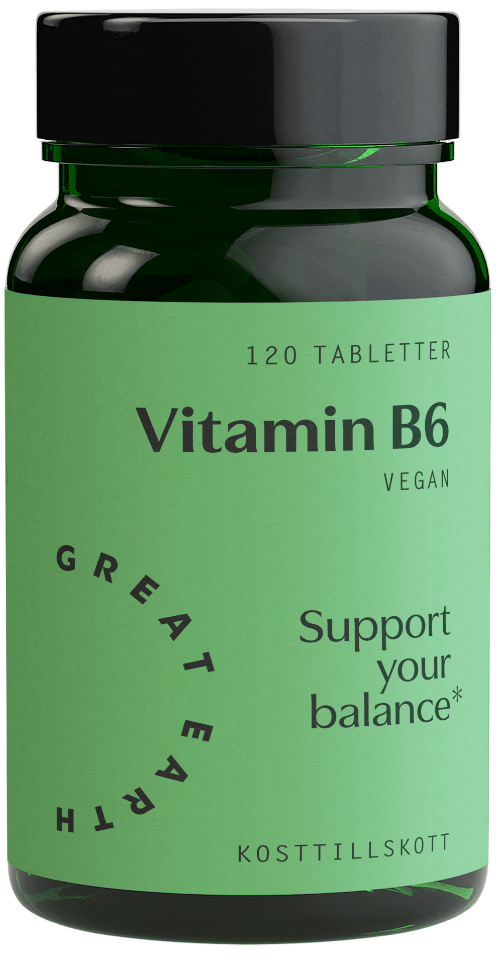 Great Earth Vitamin B6 120 tabletter