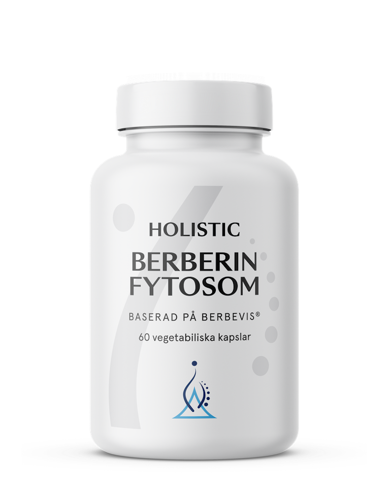 Holistic Berberin fytosom, 60 kapslar